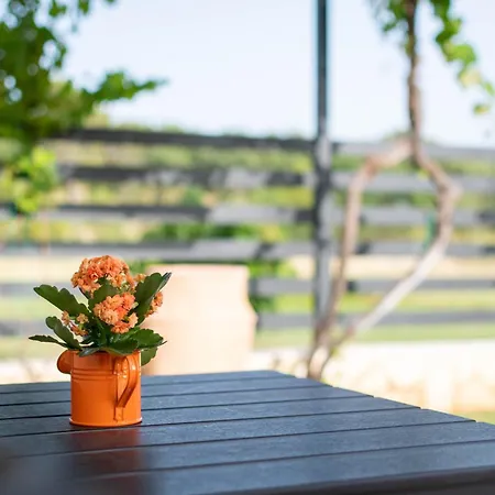 Stancia Rosa - Cozy Apartamento Poreč